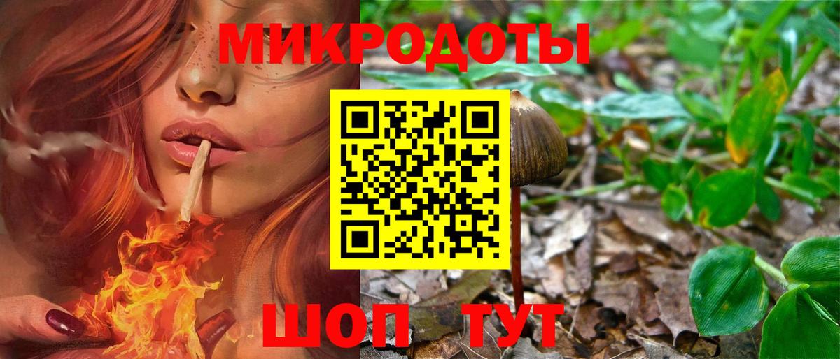 Псилоцибиновые грибы Magic Shrooms Новосибирск
