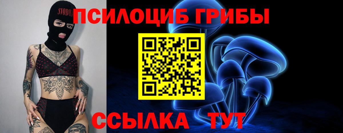 Новосибирск  Псилоцибиновые грибы Cubensis  Вход с VPN 